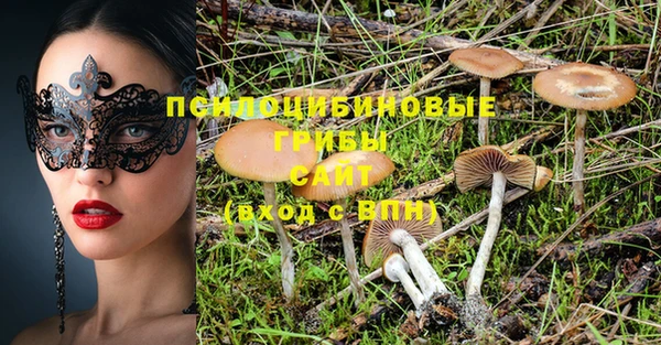 прущий лед Алексин