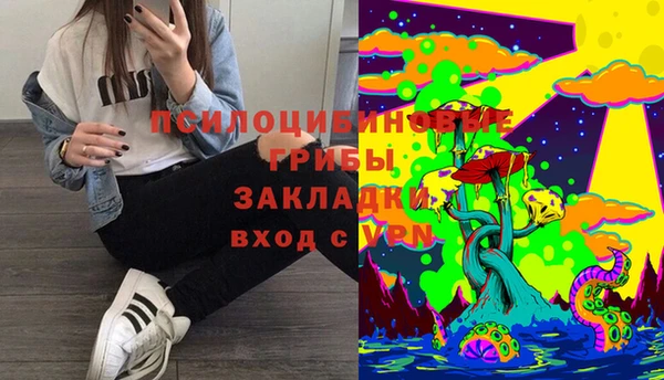 прущий лед Алексин