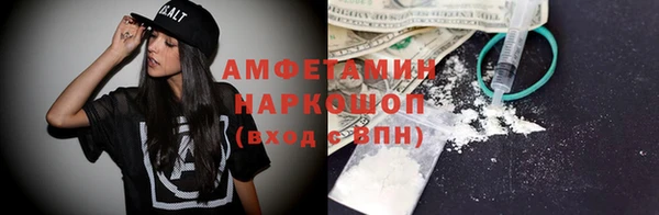 крисы Абаза