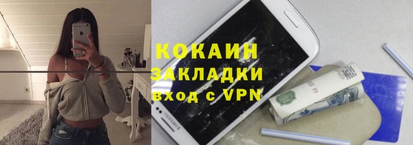 крисы Абаза