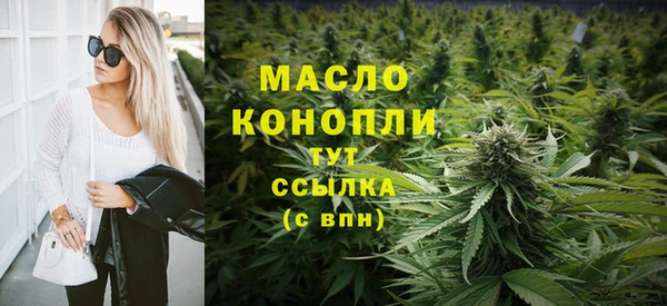 крисы Абаза
