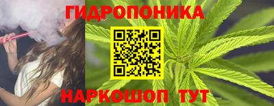 spice Гагарин