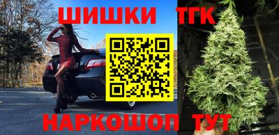 твердый Гай