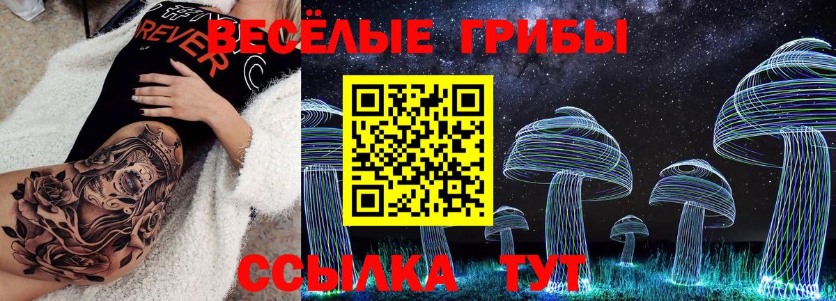 Псилоцибиновые грибы мицелий  Вход с VPN  Псилоцибиновые грибы Psilocybe  Октябрьский 